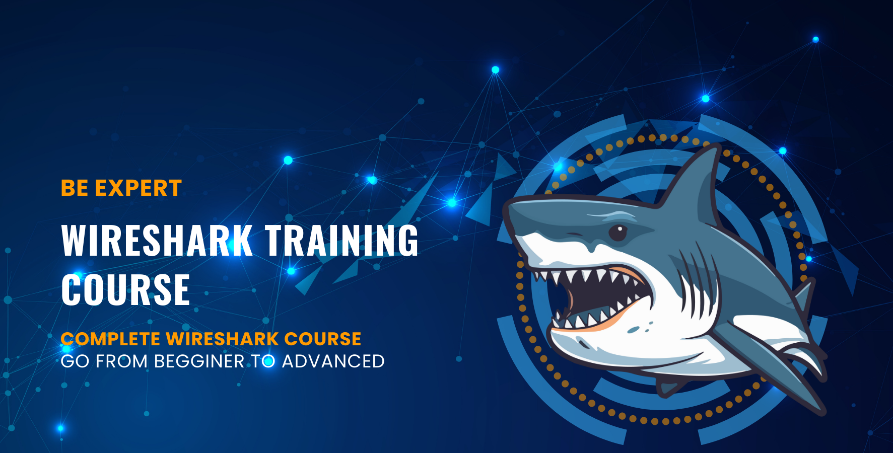 wireshark training