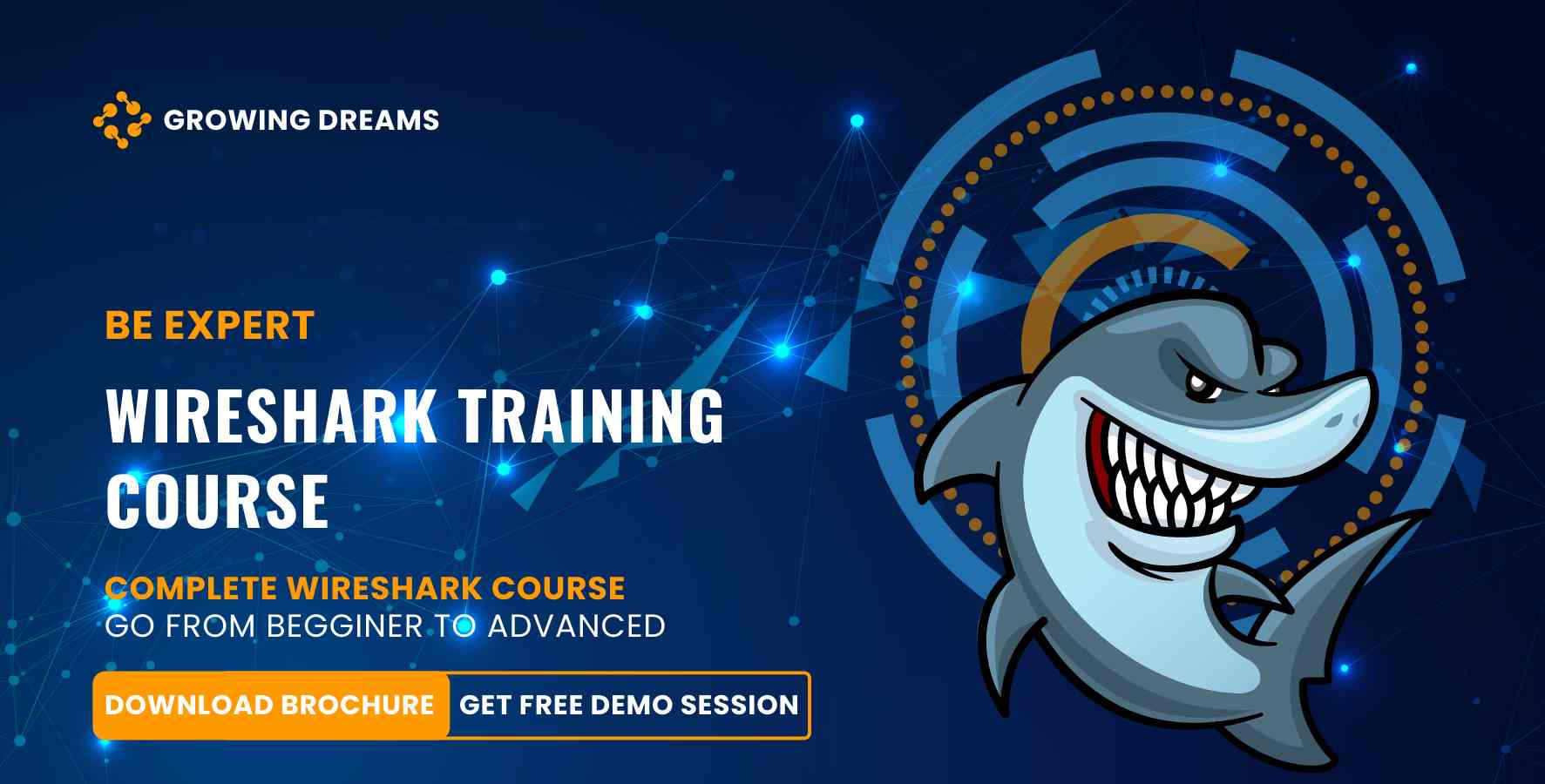wireshark training
